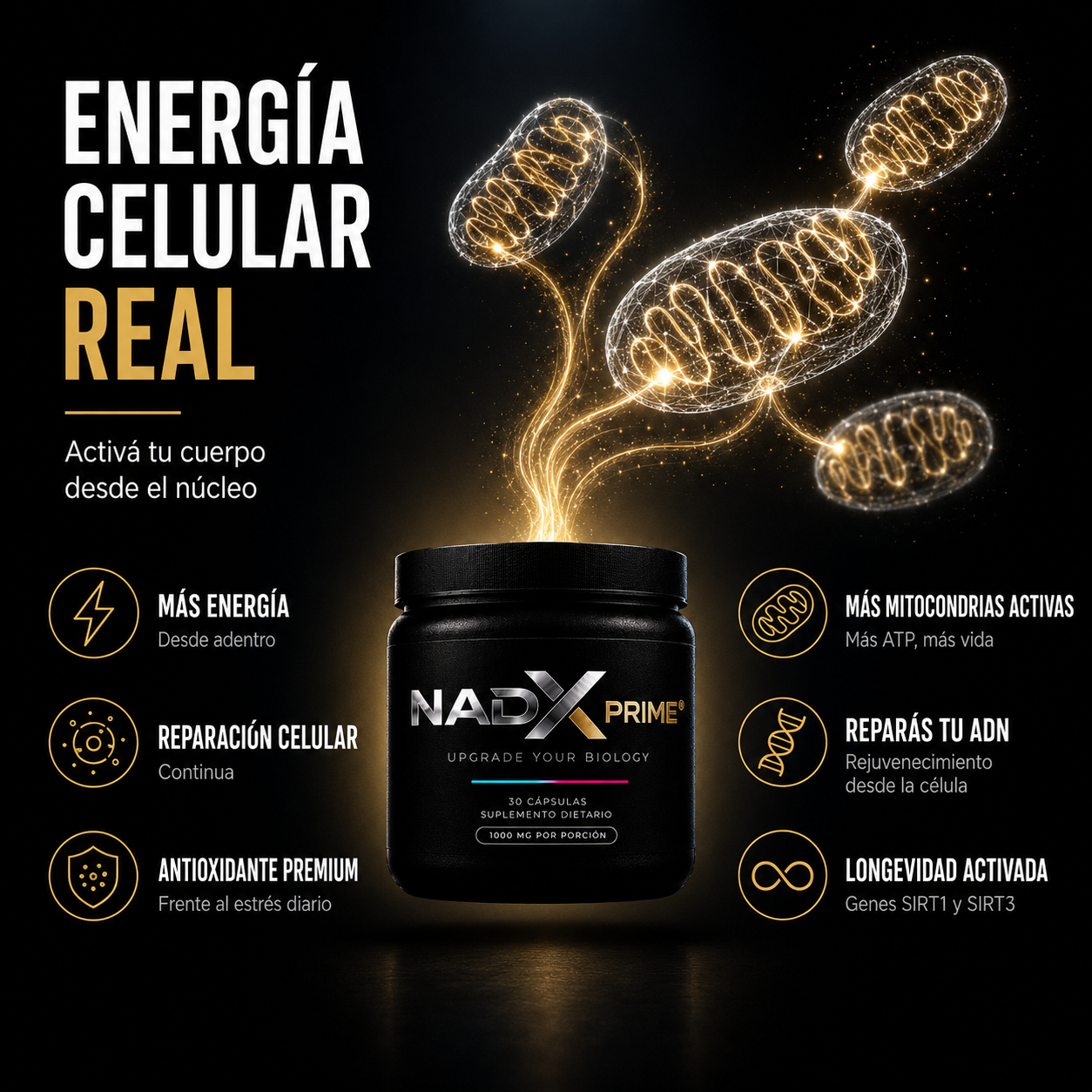 NADX PRIME