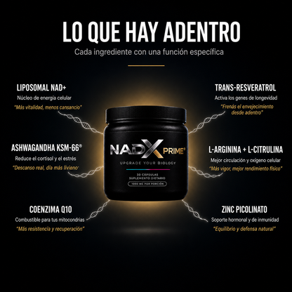 NADX PRIME